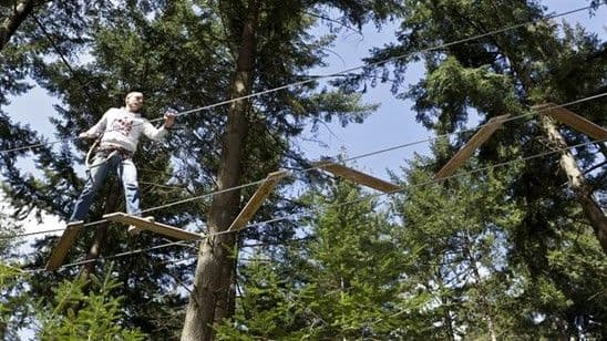 Man die over een kabelbaan loopt in het bos