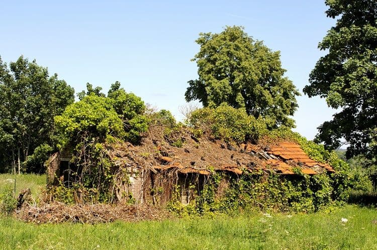 stikstof effect op oud gebouw