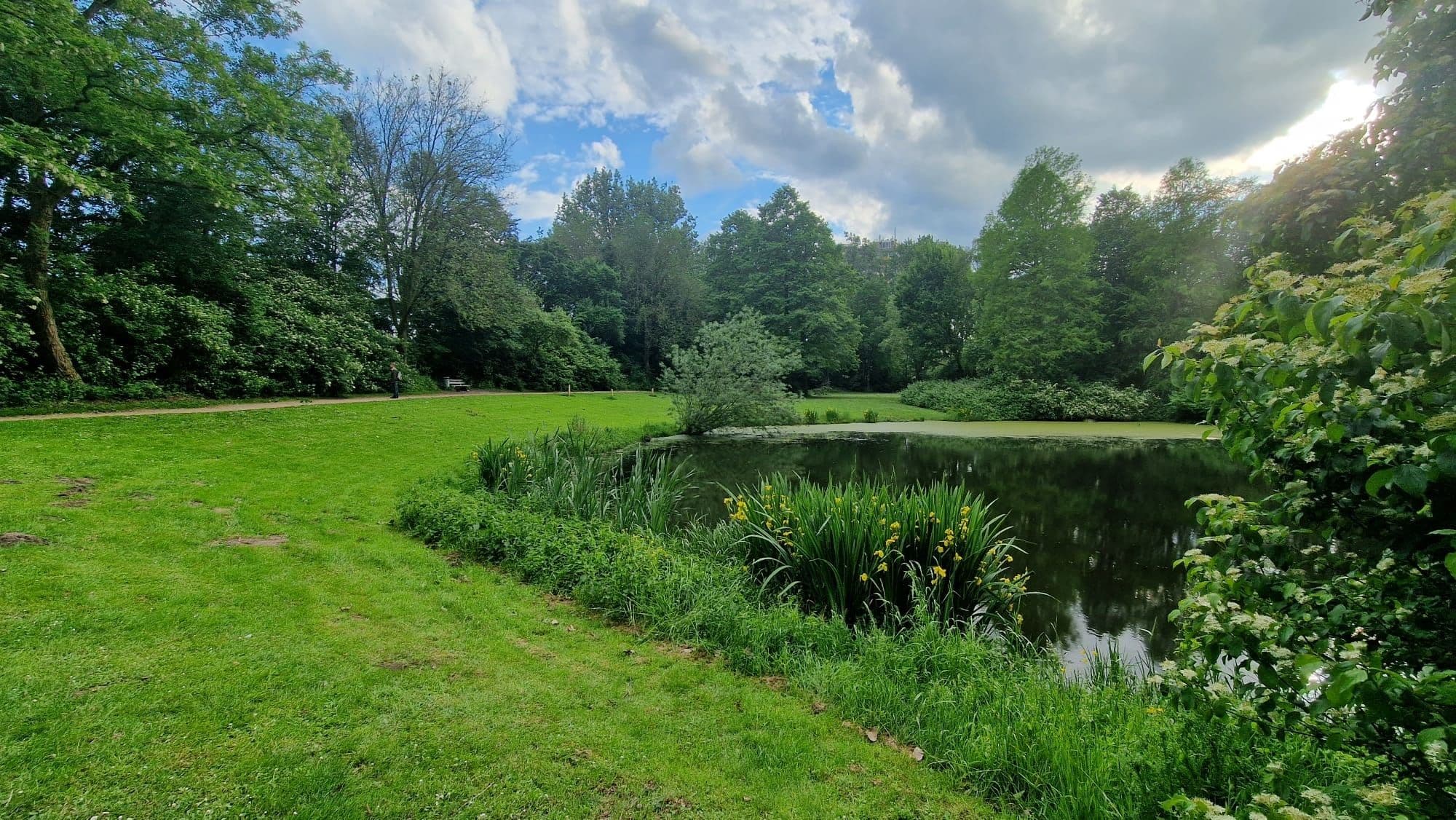 foto park blauwe bergen