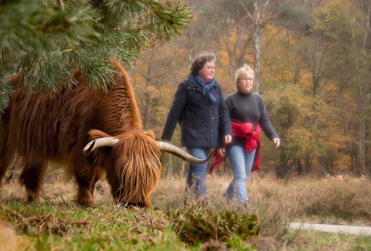 2 vrouwen in natuur en lopen langs grazer