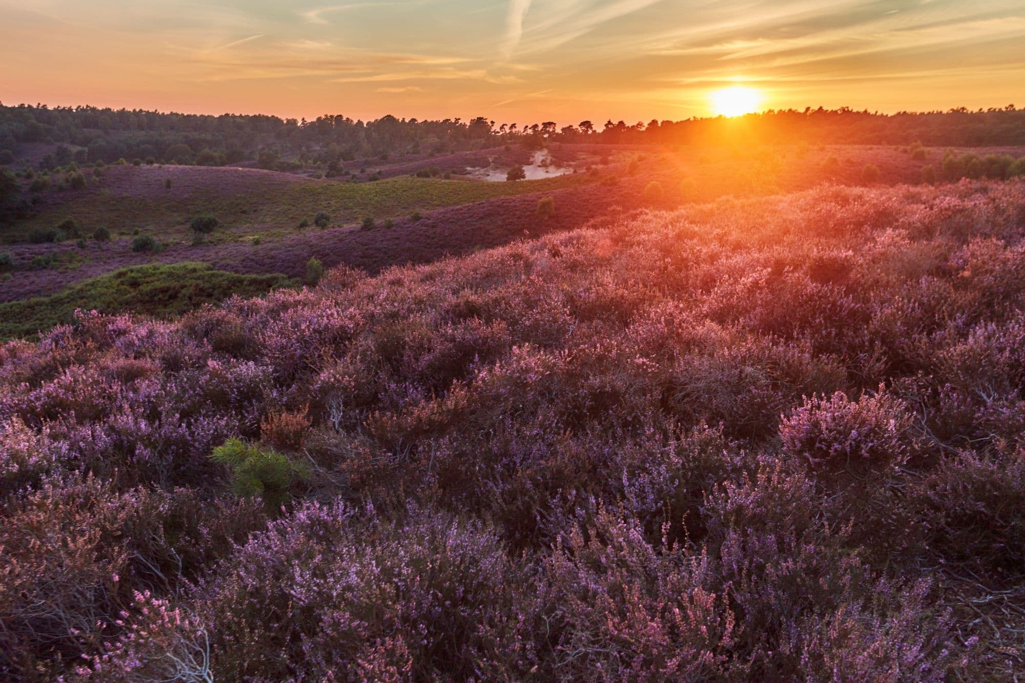 Luchtfoto ondergaande zon Veluwe